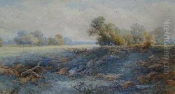 Cattle In 'sutton Park' - view 1