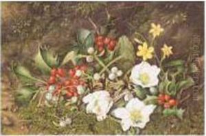 Still Life Of Holly And Christmas Roses