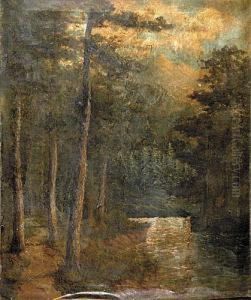 Forest Landscape by Jay C. Taylor