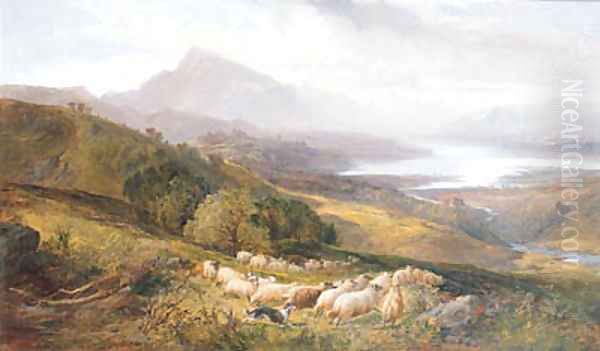 Collecting the Flock - view 1