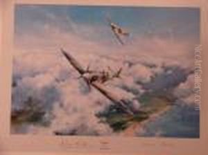 Spitfire by Robert Taylor