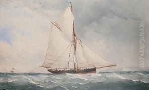 A Cutter Off The Kent Coast by Charles, Taylor Snr.