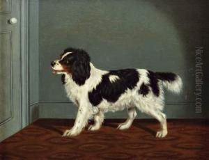 Cercle De, King Charles Debout Dans Un Interieur