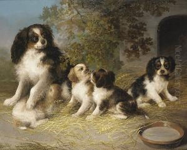 A Happy Family - view 1