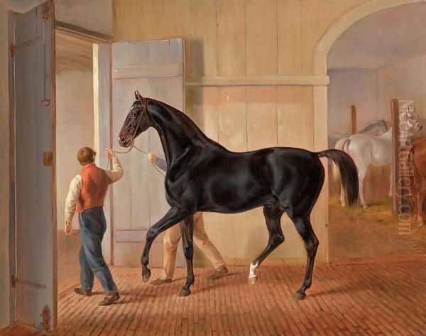 The Stallion Logic (Der Hengst Logic) - view 1
