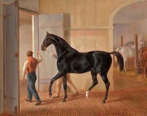 The Stallion Logic (Der Hengst Logic)