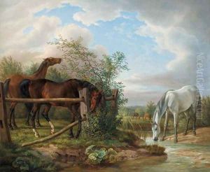 Thoroughbreds in a Paddock (Vollbluter auf der Koppel)