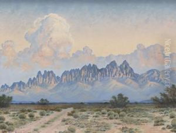 Davis Mountains - view 1
