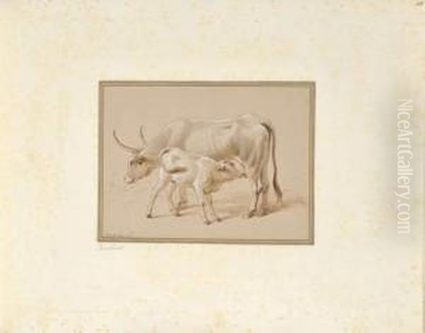 Plume Et Encre Brune, Lavis Gris Et Brun, Rehauts De Blanc. - view 1