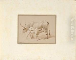 Plume Et Encre Brune, Lavis Gris Et Brun, Rehauts De Blanc. by Lievine Teerlink