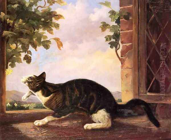 Cat Stalking a Butterfly - view 1