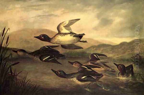 Wild Ducks Rising - view 1