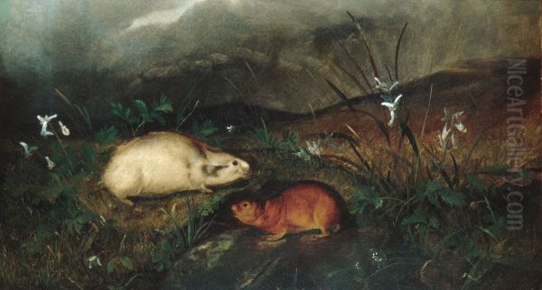 Hudson's Bay Lemming - view 1
