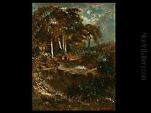 Waldlandschaft Mit Gewasser
