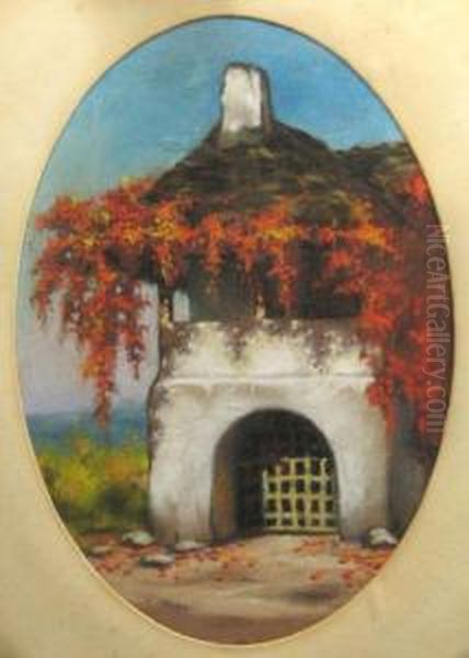 Cula Cu Iedera - view 1