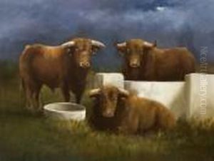 Toros