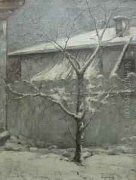 Iarna In Gradina - view 1