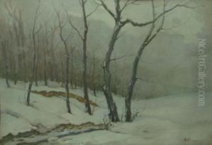Peisaj De Iarna by Nicolae Tempeanu