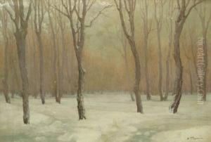 Peisaj De Iarna by Nicolae Tempeanu