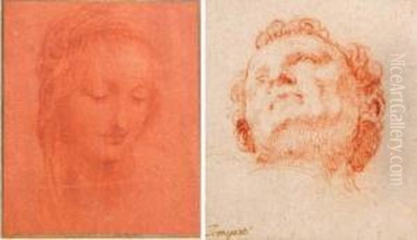 Head Studies - view 1