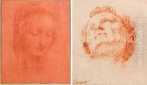 Head Studies
