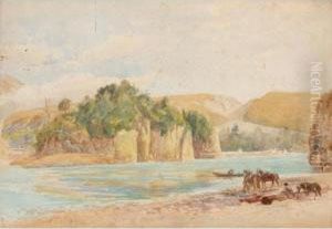 Rakaia Gorge; Takamatu, Akaroa Harbour, New Zealand by Edwyn Temple