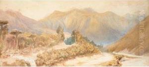 Rakaia Gorge; Road To Otira Gorge by Edwyn Temple