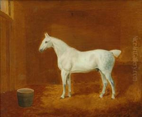 A Grey Horse Standing In A Stable - view 1