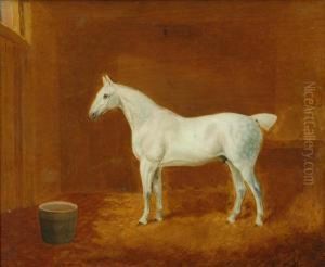 A Grey Horse Standing In A Stable by T. Temple