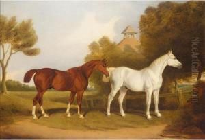 A Chestnut Stallion And A Grey Stallion by T. Temple