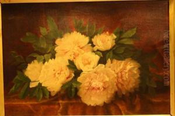 Witte Rozen - view 1