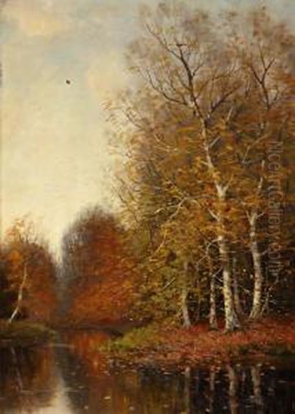 Herfstbos - view 1