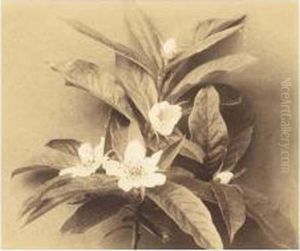 Flower Still Life by Richard Tepe