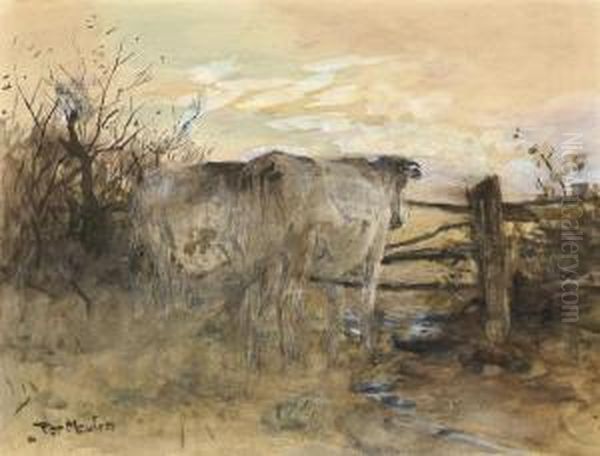 Cattle At Sunset - view 1