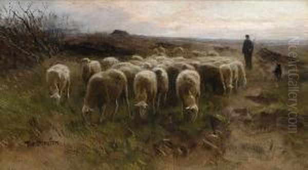 Return Of The Flock - view 1