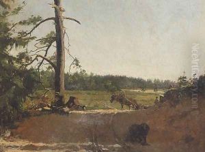 Clearing (Waldlichtung) by Kazimierz Alchimowicz