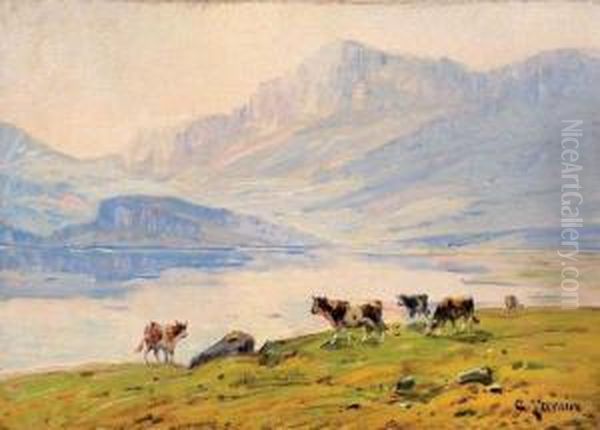 Vaches Au Bord Du Lac D'aiguebelette - view 1