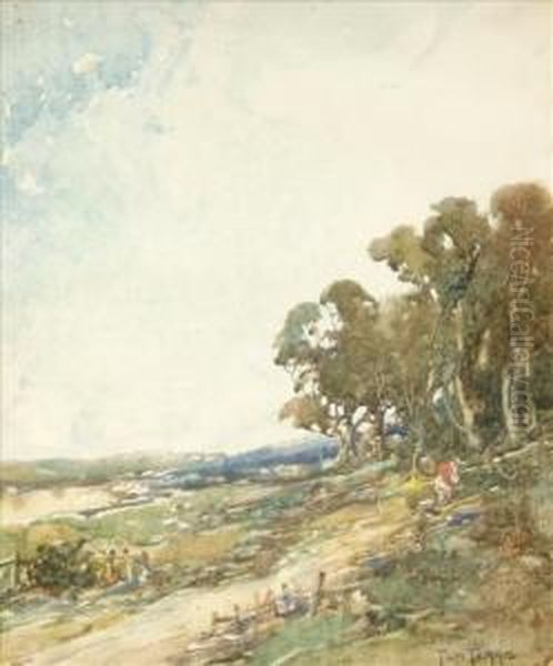 The Hillside - view 1