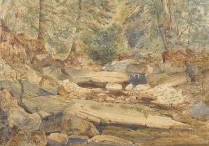 Felsige Bachpartie Im Wald. by Henry John Terry