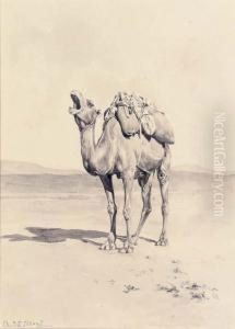 A Yawning Camel (illustrated); And Outside The City Walls by Aleardo Terzi