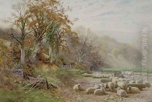 Sheep resting in the sunshine by Charles James Adams