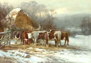 Wintertime, cattle by a fence