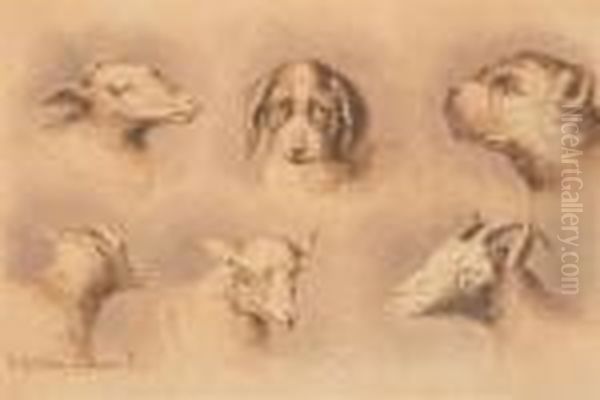 Six Tetes Dont Chiens - view 1