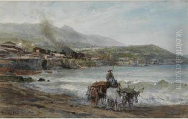 A View On Casamicciola - view 1