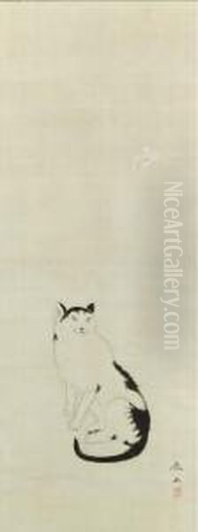 Cat - view 1