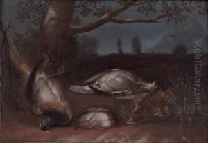 Stillleben Mit Fasanen In Landschaft by Franz Joseph Textor