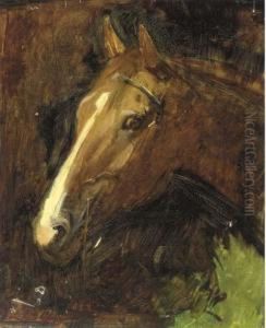 Study Of A Horse Study Of A Horse