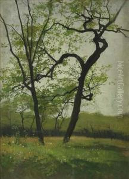 Fruhlingslandschaft - view 1