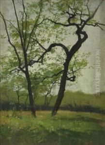 Fruhlingslandschaft by Max Thedy
