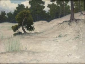 Motiv Fran Sandhamn by Robert Thegerstrom